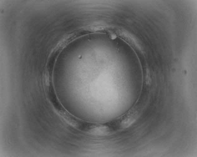 X0000080720210200612151207