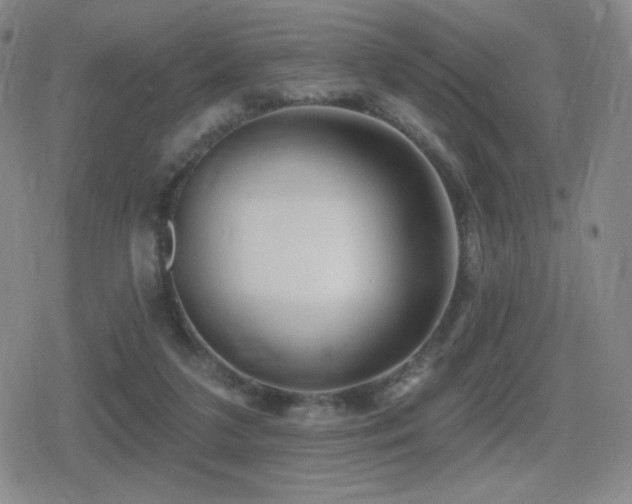 X0000080720211200612151207