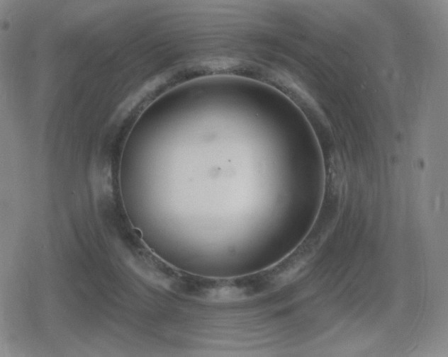 X0000080720212200612151207