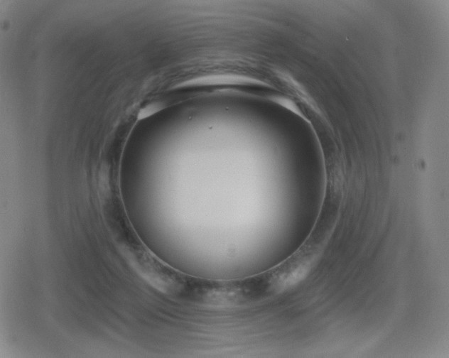 X0000080720213200612151207