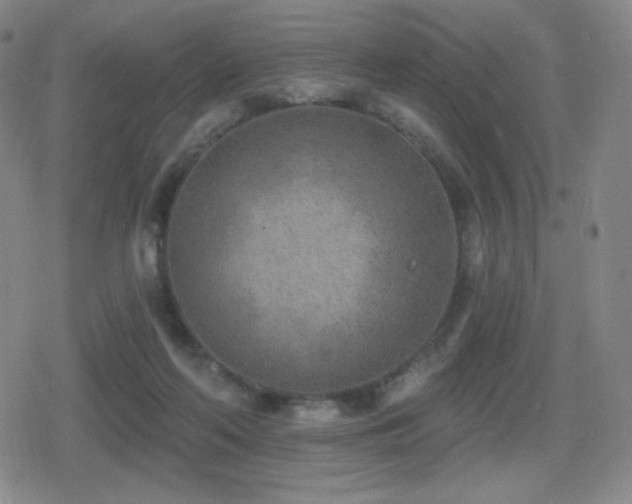 X0000080720214200612151207