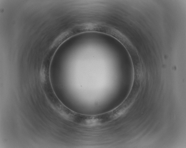 X0000080720216200612151207