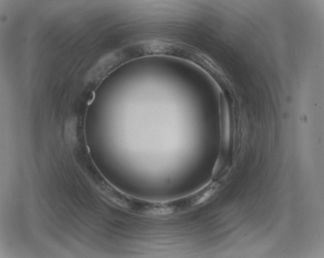 X0000080720217200612151207