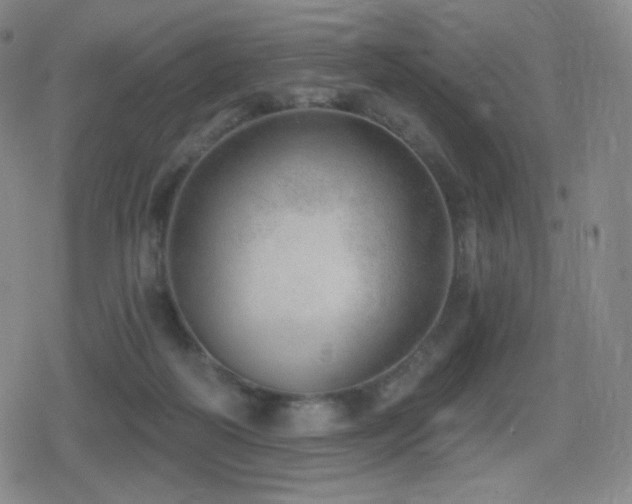 X0000080720218200612151207