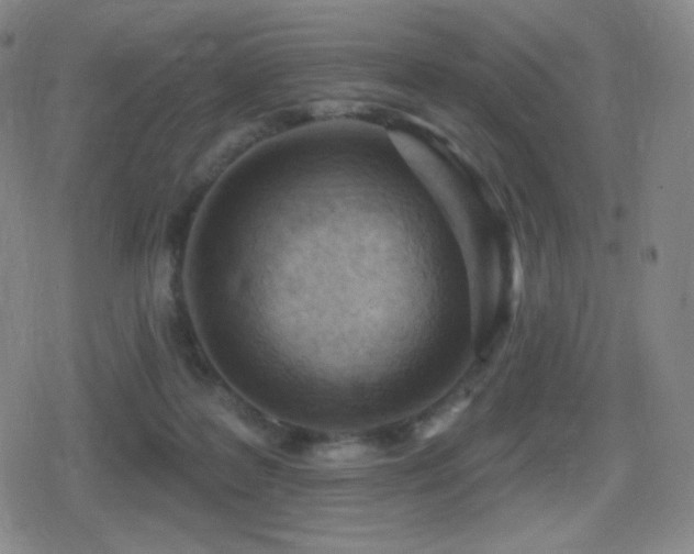 X0000080720219200612151207