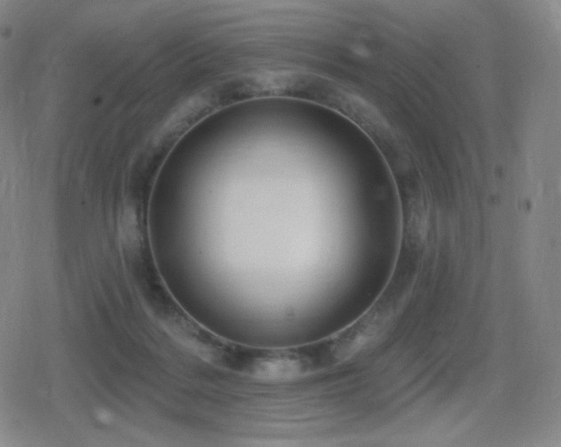 X0000080720220200612151207