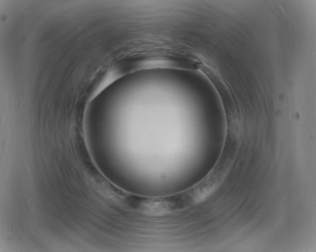 X0000080720221200612151207