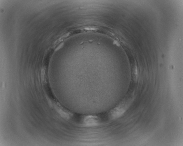 X0000080720222200612151207