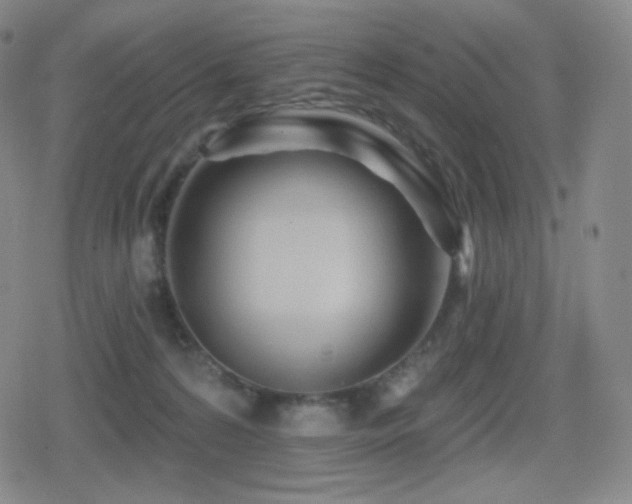 X0000080720224200612151207