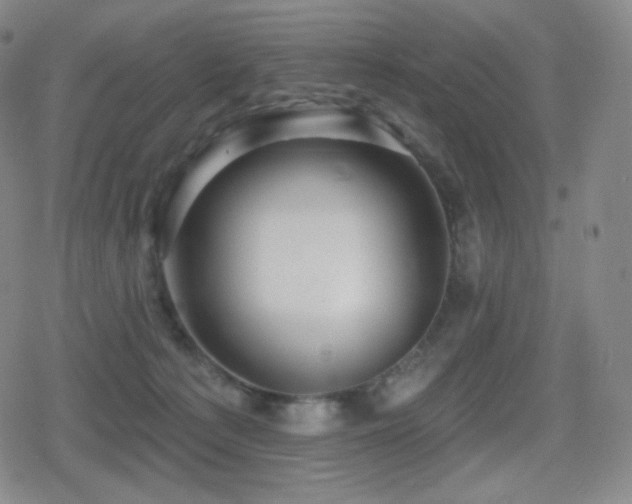 X0000080720225200612151207