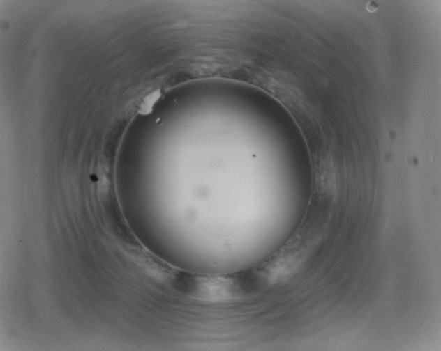 X0000080720226200612151207