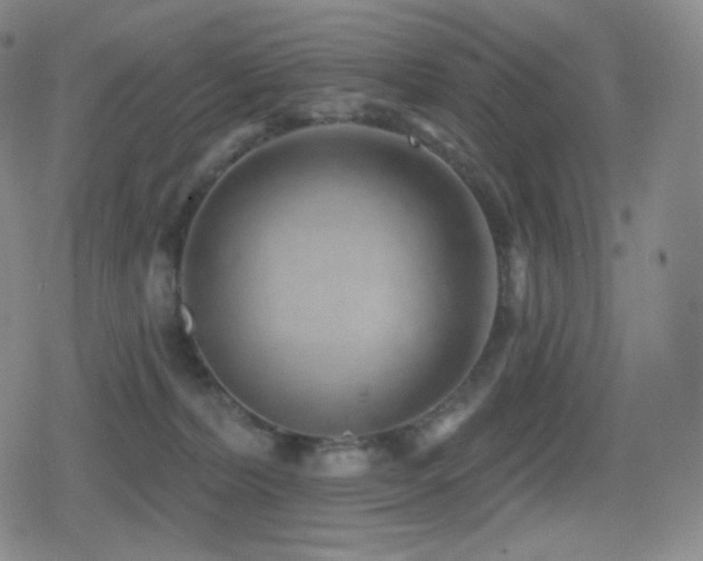 X0000080720228200612151207