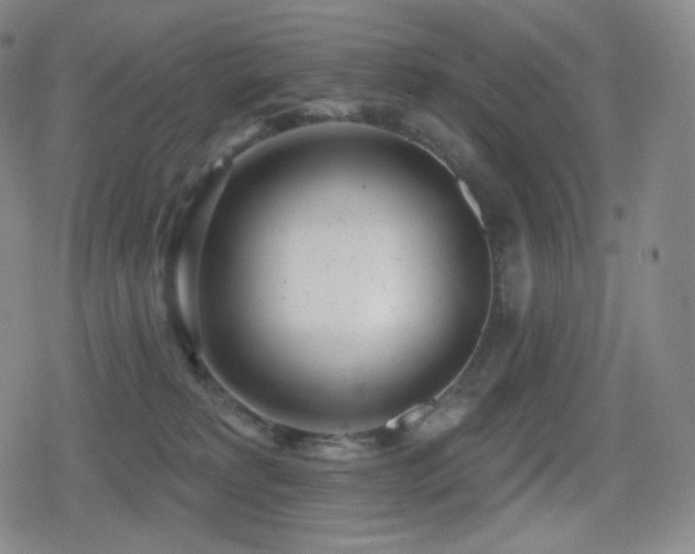 X0000080720229200612151207