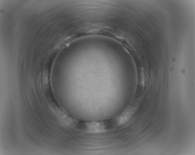 X0000080720230200612151207