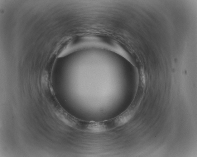 X0000080720231200612151207