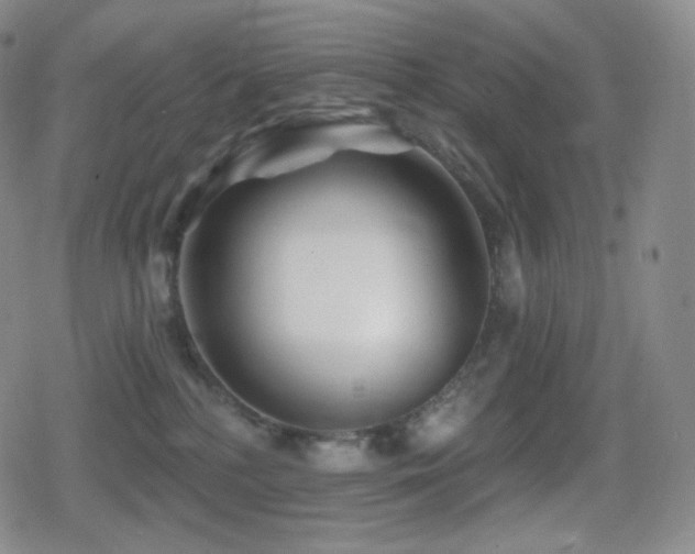 X0000080720232200612151207