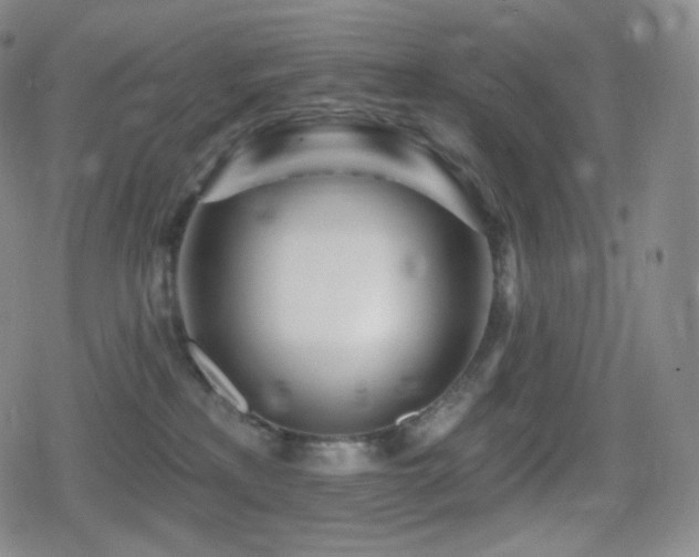 X0000080720233200612151207