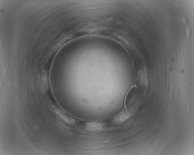 X0000080720234200612151207