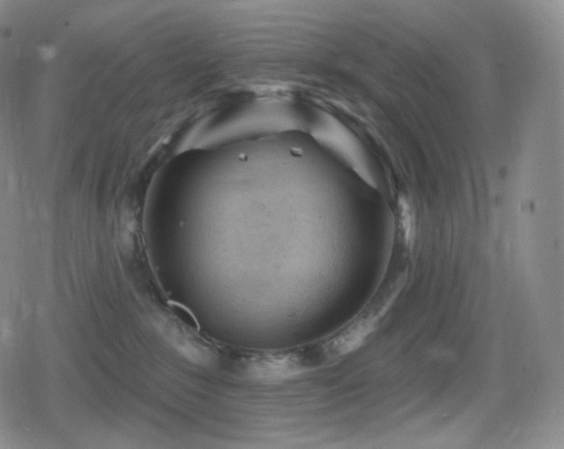 X0000080720235200612151207