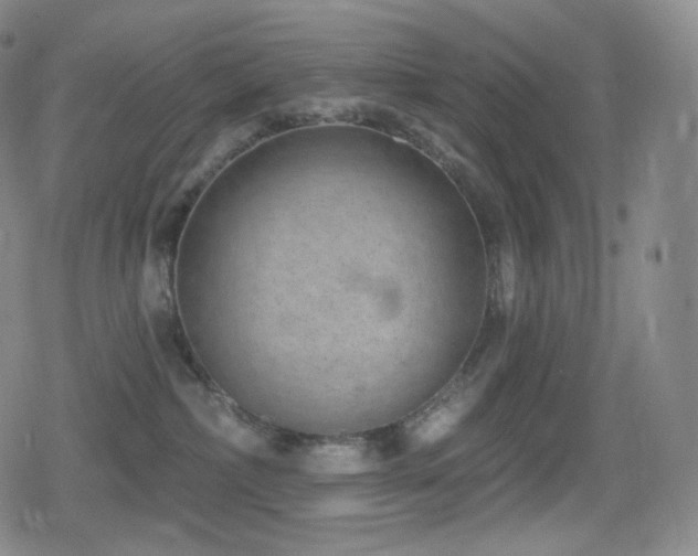 X0000080720236200612151207