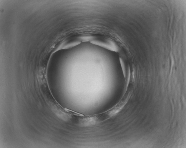 X0000080720237200612151207