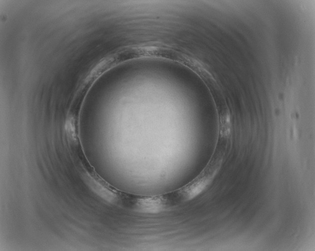 X0000080720238200612151207