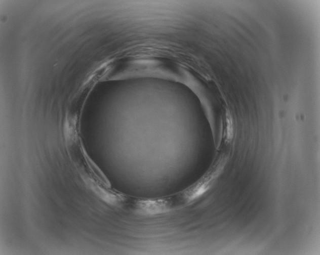 X0000080720239200612151207