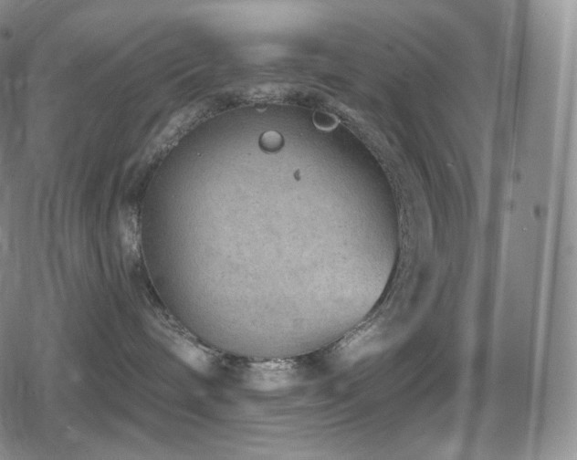 X0000080720240200612151206