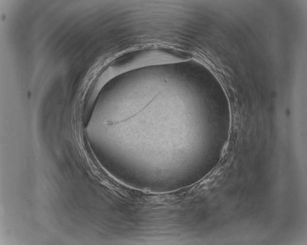 X0000080720241200612151206