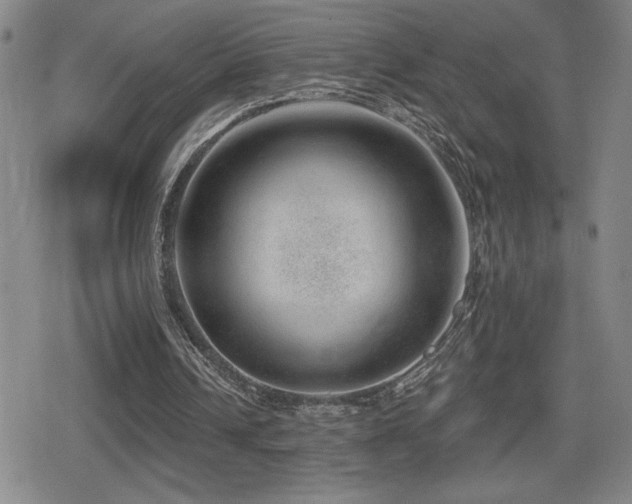 X0000080720242200612151206