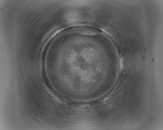 X0000080720243200612151206