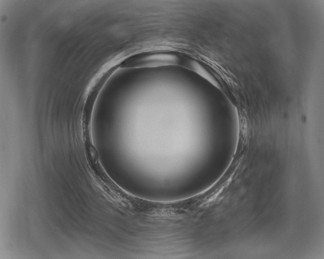 X0000080720244200612151206