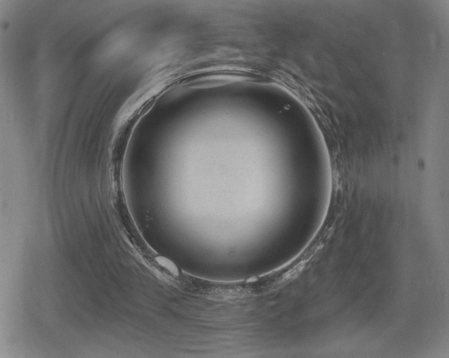 X0000080720245200612151206