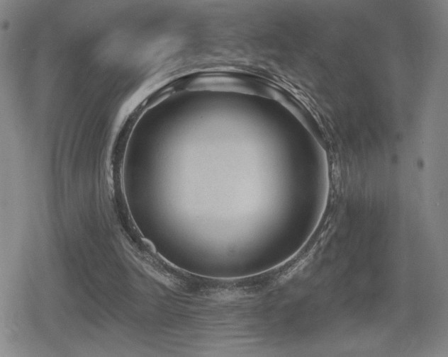 X0000080720246200612151206