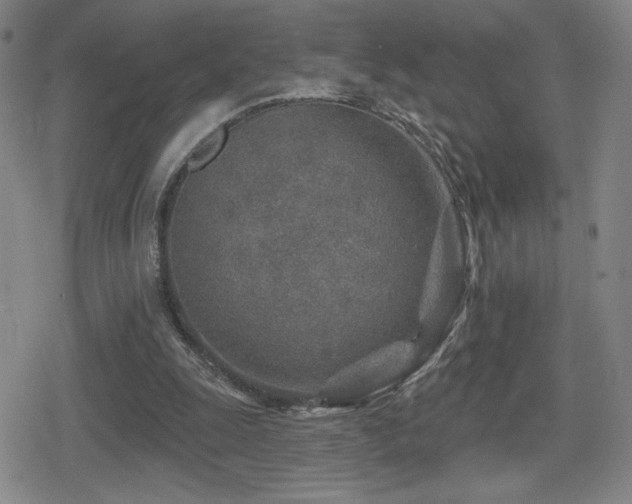 X0000080720247200612151206