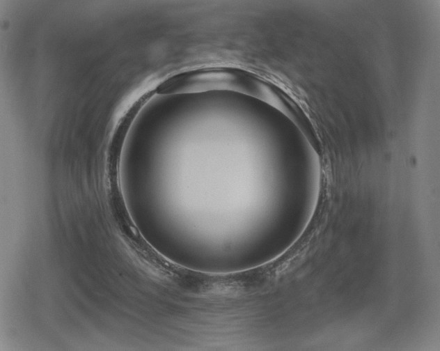 X0000080720248200612151206