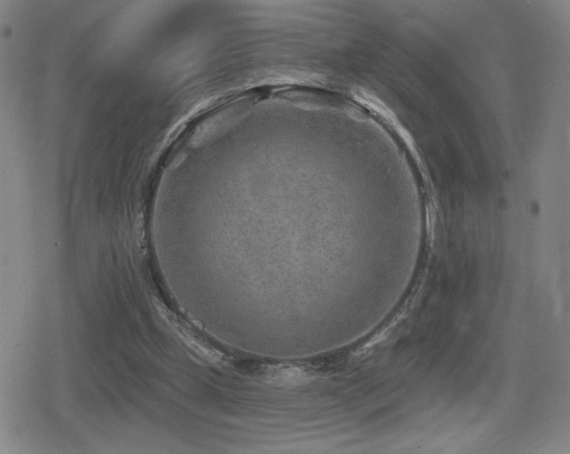 X0000080720249200612151206