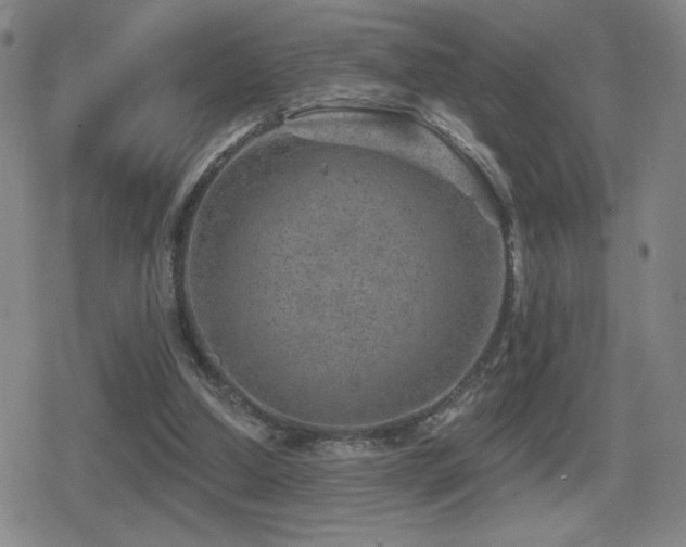 X0000080720250200612151206