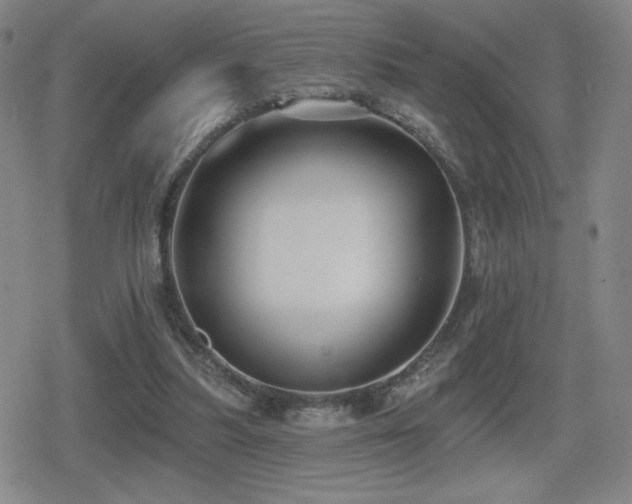 X0000080720251200612151206