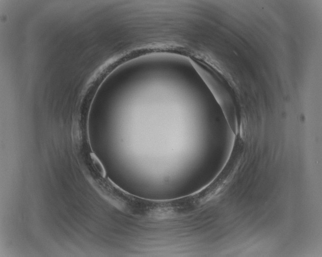 X0000080720252200612151206