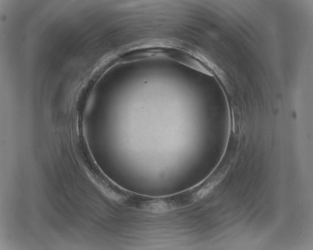 X0000080720253200612151206