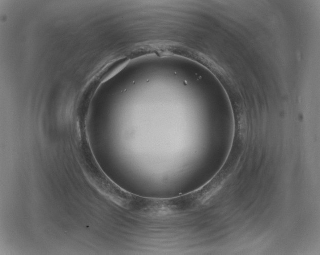 X0000080720254200612151206