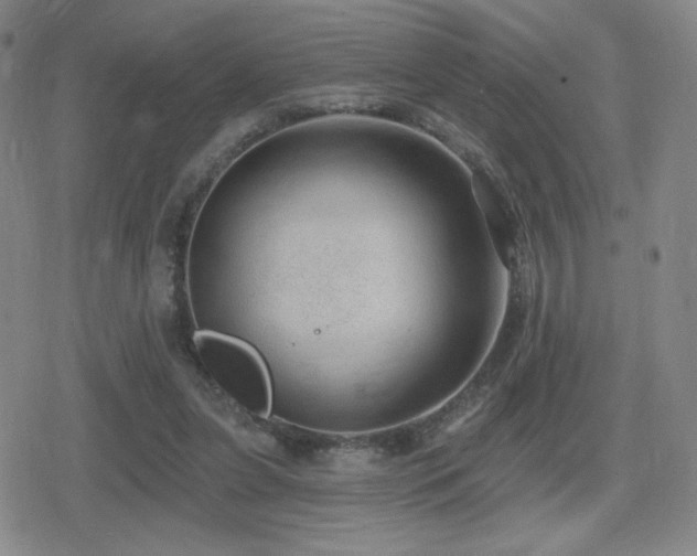 X0000080720255200612151206