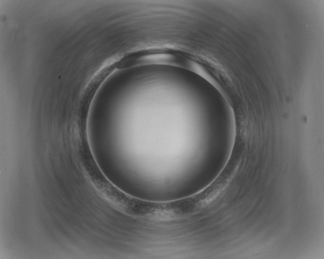 X0000080720256200612151206