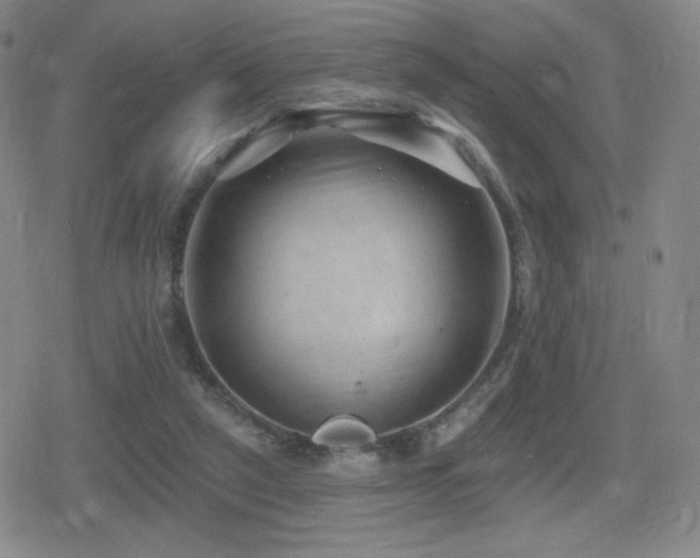 X0000080720257200612151206