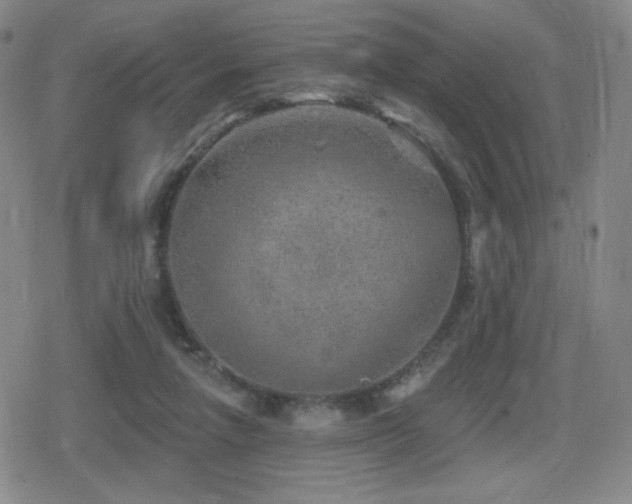 X0000080720258200612151206