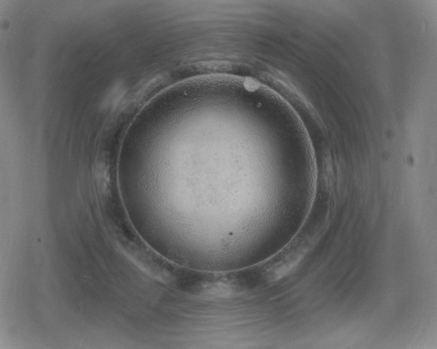 X0000080720259200612151206