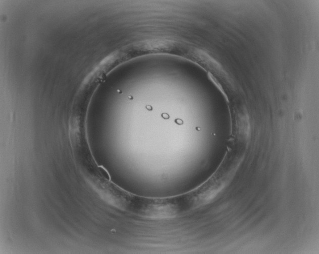 X0000080720260200612151206