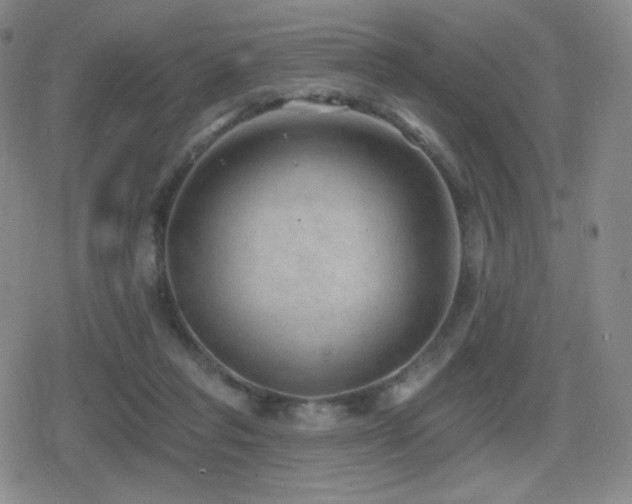 X0000080720261200612151206