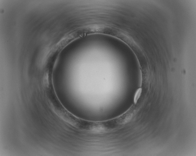 X0000080720262200612151206